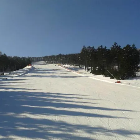 Beautiful In A * Jáchymov