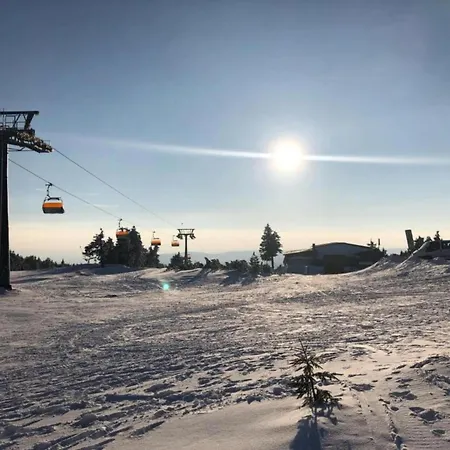 Daire Beautiful In A Jáchymov
